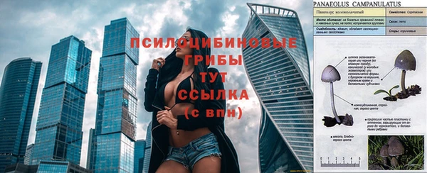 марки nbome Ладушкин