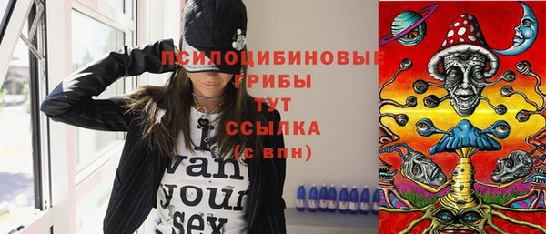 ГАЛЛЮЦИНОГЕННЫЕ ГРИБЫ Лабытнанги