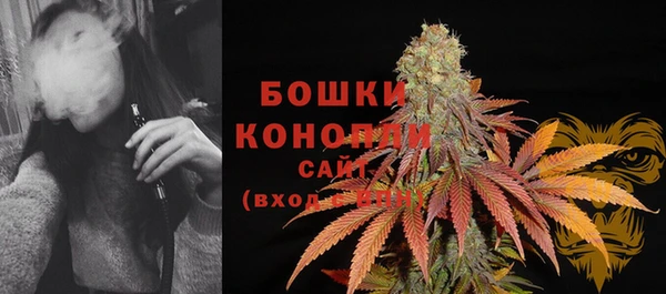 ГАЛЛЮЦИНОГЕННЫЕ ГРИБЫ Лабытнанги