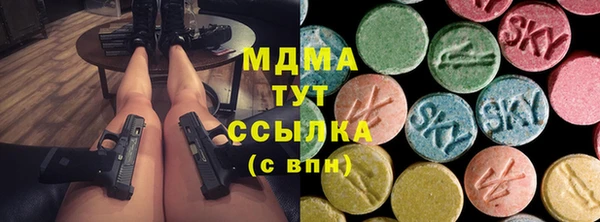 прущие грибы Вяземский