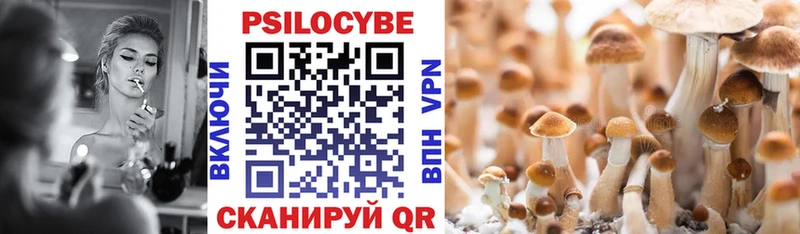 Галлюциногенные грибы Psilocybine cubensis  Морозовск 