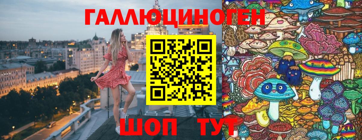 Псилоцибиновые грибы Psilocybe  Галлюциногенные грибы MAGIC MUSHROOMS  Морозовск 