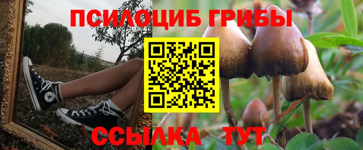 Морозовск  Галлюциногенные грибы MAGIC MUSHROOMS  Вход с VPN 